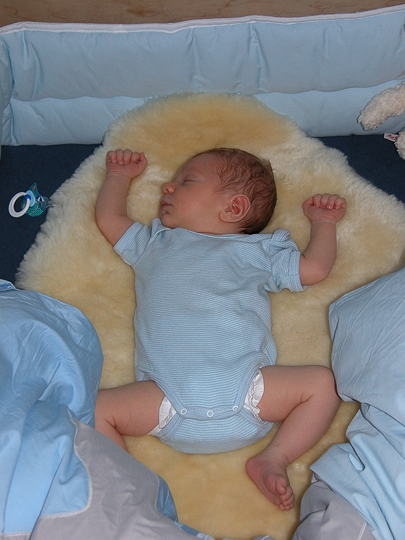 Bild: 010 / 022