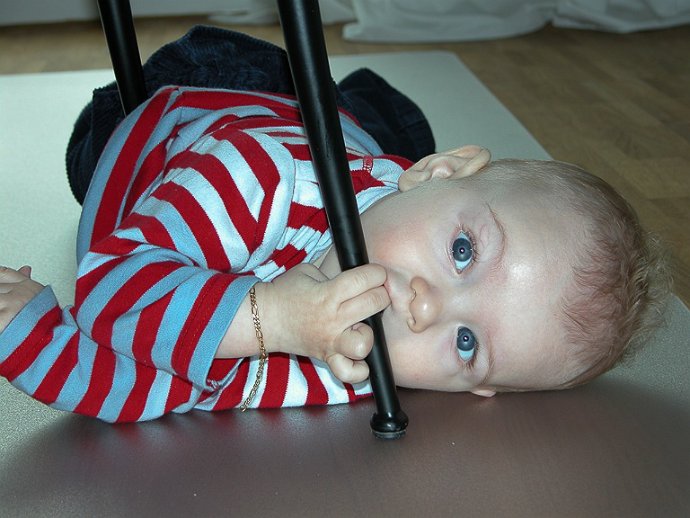 Bild: 001 / 044