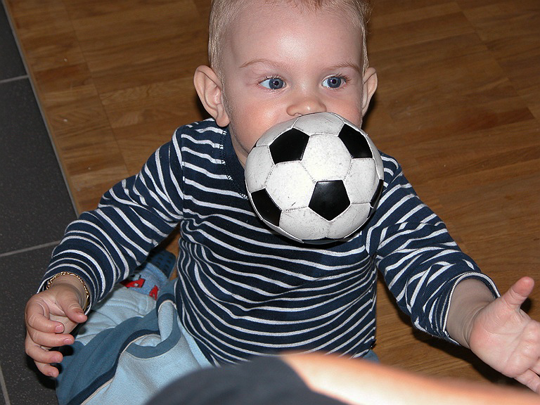 Bild: 018 / 044