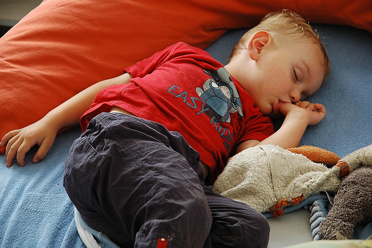 Bild: 035 / 081