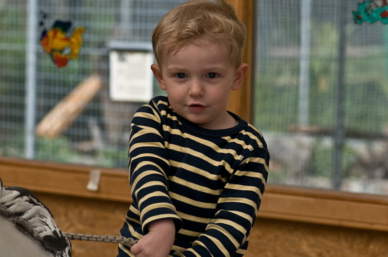 Bild: 093 / 237