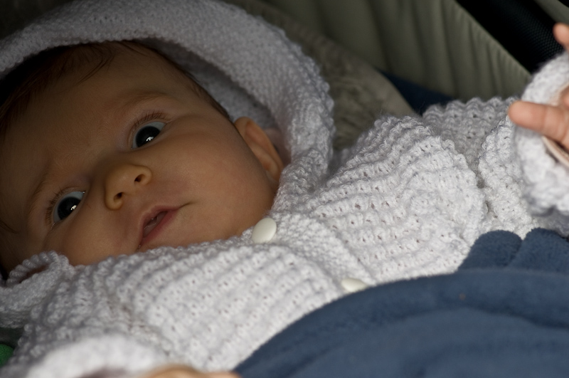 Bild: 111 / 237