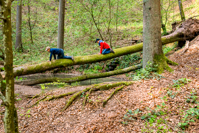 Bild: 014 / 104